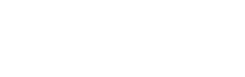 Fistora Logo
